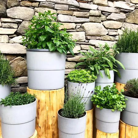 Hotel Moser-hochkoenig Genuss Wirtshaus